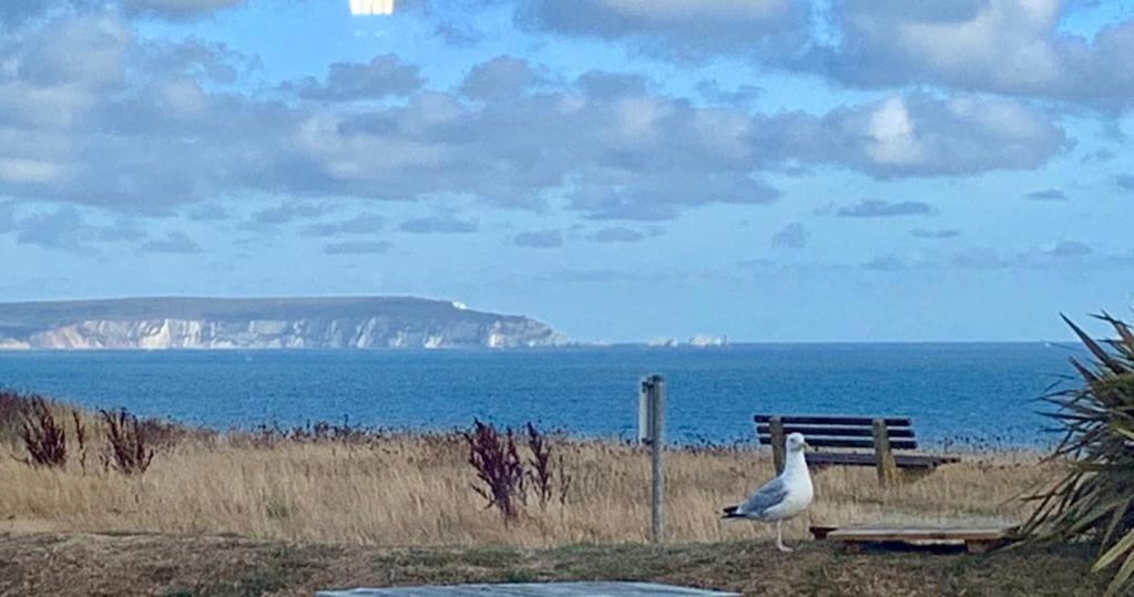 Shorefield Country Park, Where The New Forest Meets The Sea, Passes For All Entertainment Included Милфорд-он-Си Экстерьер фото