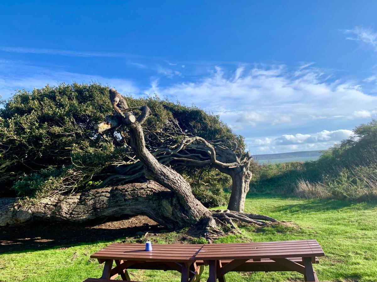 Shorefield Country Park, Where The New Forest Meets The Sea, Passes For All Entertainment Included Милфорд-он-Си Экстерьер фото